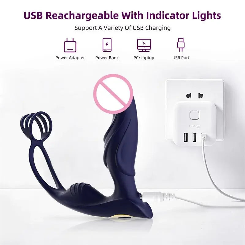 Wearable Insertion Butt Plug With Remote Controlled Vibrational Modes