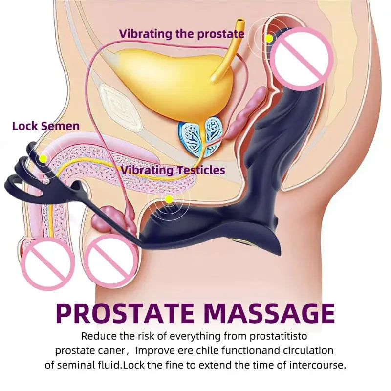 Wearable Insertion Butt Plug With Remote Controlled Vibrational Modes