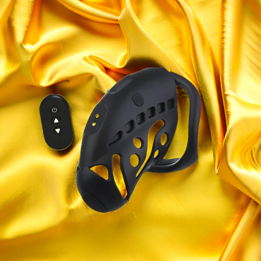 Wireless Remote Control and Punish Chastity Cage for Remote Couple Play