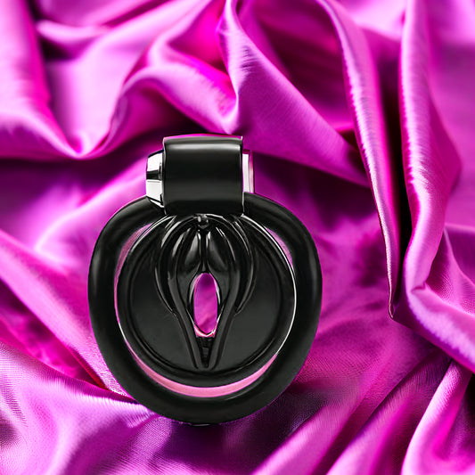 Birdcage Chastity Lock for Sissys